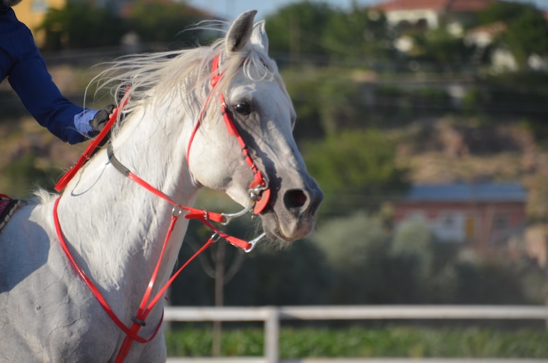 Boyabat'ta Sporun Keyfi: Gençlik ve Spor Boyabat'ta Sporun Keyfi: Gençlik ve Spor